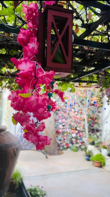 Pembe begonvillerle süslü bahçe